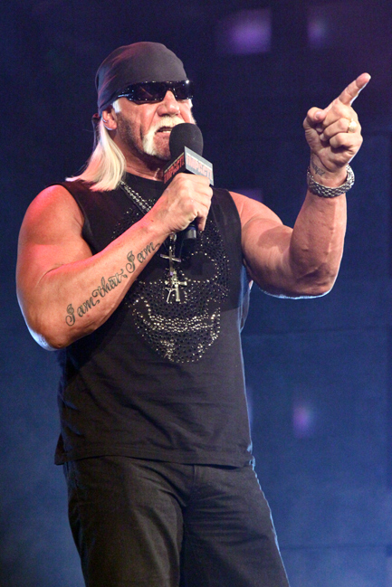 All Hail Hulk Hogans Sex Tape
