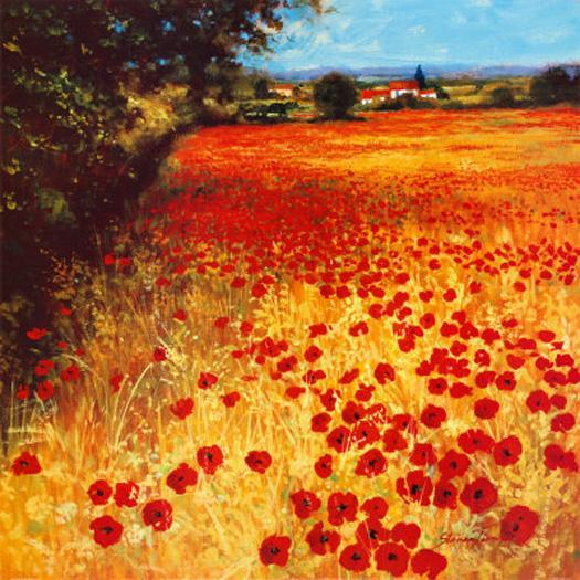 Steve Thoms - Field of Red and Gold - nonprints.com